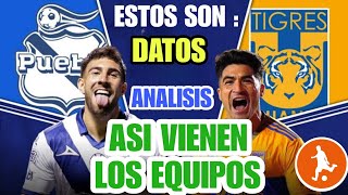 Estos son los datos del Puebla vs Tigres hoy | Historial, análisis y como vienen los equipos