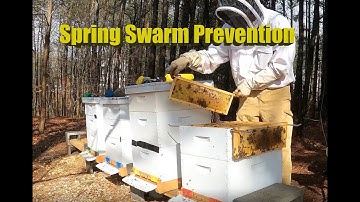 Spring Swarm Prevention and making March splits (Beekeeping)