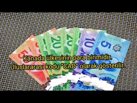 Dünyadaki para birimleri ve Türk lirasına olan değerleri BÖLÜM 1