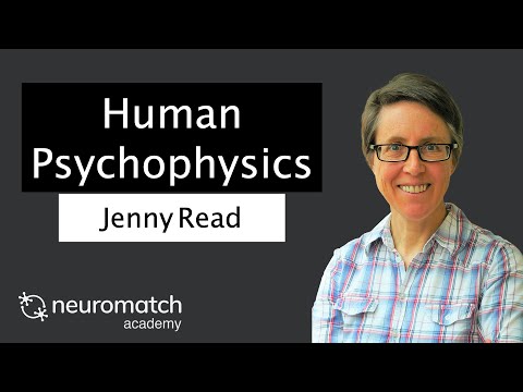 Human Psychophysics