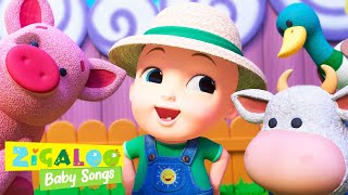Old MacDonald Had a Farm with Johnny and Friends and more Kids Videos by Zigaloo Baby Songs