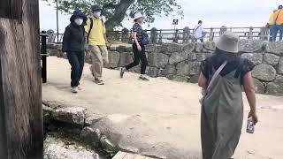 2024-June Trip of Shikoku, Japan part-4