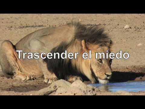 Vídeo: A Veces Tienes Que Salir A Una Repisa 20 Historias Por Una Buena Historia - Matador Network