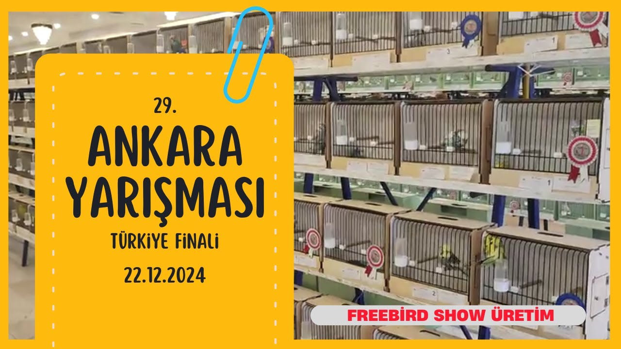 29. Ankara Kuş Fuarı Final Yarışması