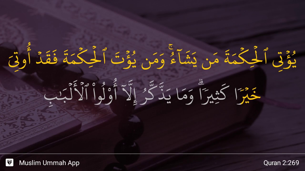 25+ Trend Terbaru Kata Kata Motivasi Menghafal Quran ...