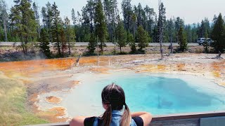 Trip to Yellowstone | Национальный парк Йеллоустоун | National Park of America 4K