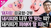 띠궁합]🐲⚡️'용띠'와 너무 안 맞는, 용띠가 피해야 할 띠궁합은?🐲⚡️용띠 띠별궁합-3부🐲⚡️#사회궁합 #남녀궁합 #가족궁합  #부부궁합 - Youtube
