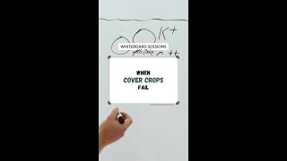 Whiteboard Session: When Cover Crops Fail