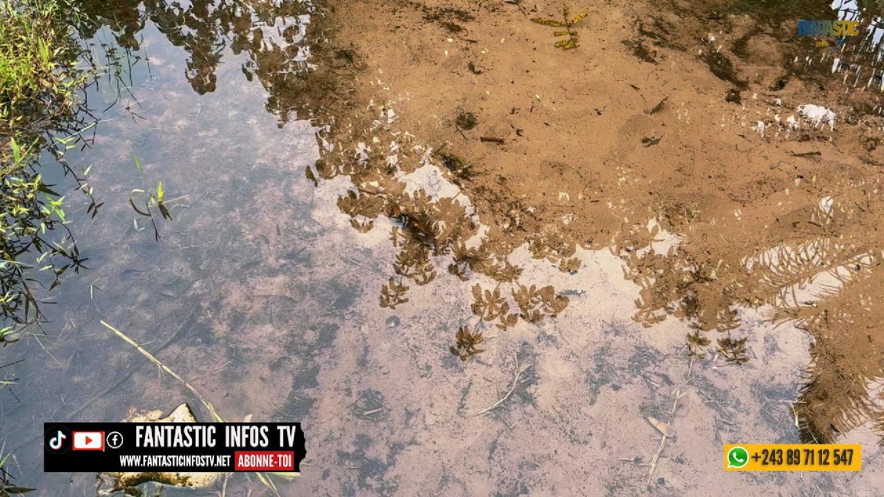 A 5 KM DE LA ROCADE N'SELE) ,JE VISITE UN TERRAIN AGRICOLE POUR MA GRANDE SOEUR ( FRANCE)