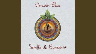 Video thumbnail of "Vibración Eleva - Camino Hacia el Sol"