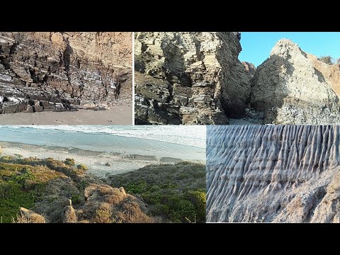 Video: Kalotropis, Cảnh đẹp Và Nguy Hiểm