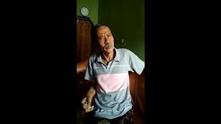 Kayu ular