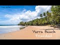 At yarra beach the blue water flows along a sandy beach  coconut trees sway here in paradise