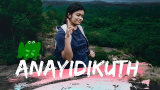 Aanayidikuth Waterfalls Thommankuth Route