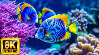 Aquarium 8K VIDEO ULTRA HD - Beautiful Relaxing Coral Reef Fish - Relaxing Sleep Meditation Music#28