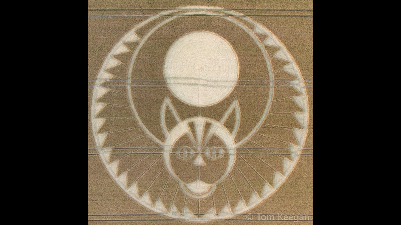 the STRANGE  22 July 2016 CROP CIRCLE Decoded ... Alice in Wonderland & more ...