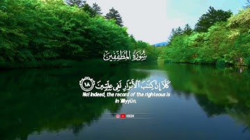 سورة المطففين القارئ شريف مصطفى