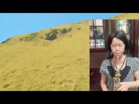 站在高崗上 / 陳秀利 薩克斯風🎷演奏 #Best樂團 #20230726 #Alto #C大調