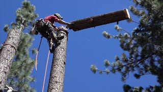 Tahoe Chainsaw Massacre...Tahoe Lumberjacks 2_The Magnificent Seven  Keepin&#39; It Real (Arbo-Real)