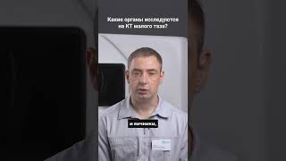 Какие органы исследуются на КТ малого таза? #кт #здоровье #диагностика