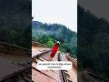 World’s famous Nine arches bridge | Srilanka | #shorts #shortvideo