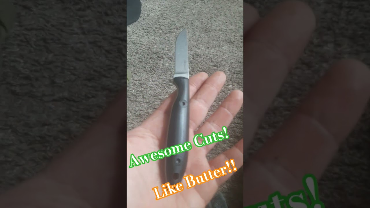 Is DC53 the new go to Budget Blade Steel????