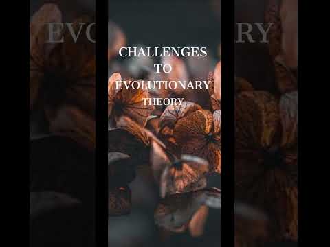 Irreducible Complexity: A