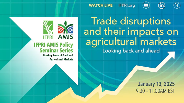 IFPRI-AMIS Seminar Series | Trade disruptions and their impacts on agricultural markets