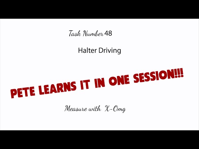Task 48 with Pete