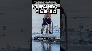 61. 뱃살을 열로 태우는 역노화 기법 : 콜드플런지 #인체사용설명서 #예땀 #블루바디