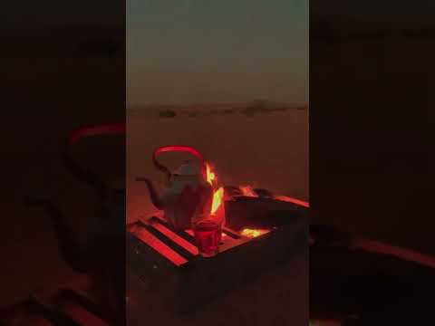 كشته خلاويه خلف شعيب محمد يوم الثلاثاء 15 03 2022