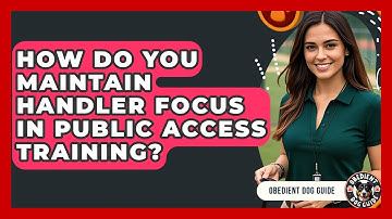 How Do You Maintain Handler Focus In Public Access Training? - Obedient Dog Guide