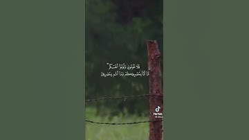 تريد السعادة والراحة والطمأنينة اسمع القرآن الكريم