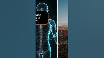 How many questions can you answer correctly?  #trivia #braingames #braintest