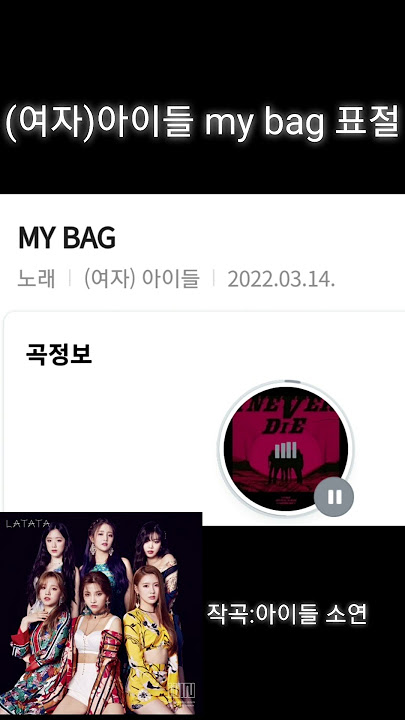 (여자)아이들 my bag 표절 논란
