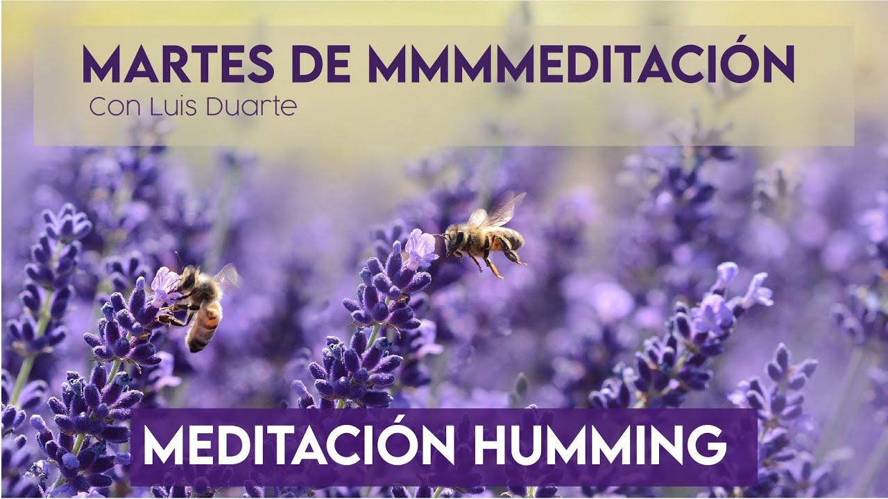 Meditación con sonido MMMMMMM para sanar y calmar la mente - YouTube