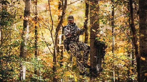 How concealment and camoflauge works?