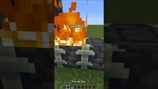 اكبر واردن لفل١٠٠#shorts #minecraft