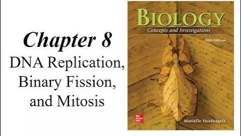 (BC BSC1005) Chapter 8 DNA Replication, Binary Fission and Mitosis