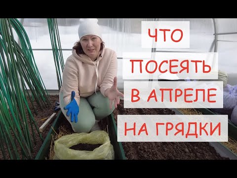 ЧТО ПОСЕЯТЬ В ТЕПЛИЦУ В АПРЕЛЕ. ОБЯЗАТЕЛЬНО СЕЙТЕ ЭТИ РАННИЕ ОВОЩИ