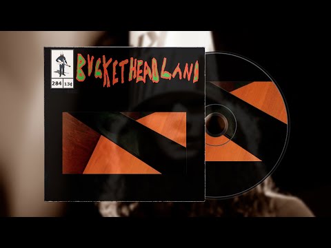 Buckethead - Pike 284 - Through The Looking Garden