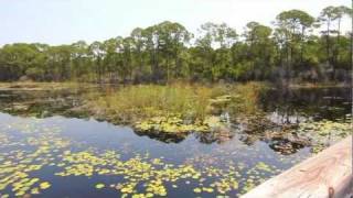 grayton beach florida 4br beach front vacation rental home 71 gulf shore drive vista dunes