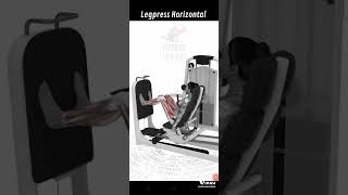 Legpress Horizontal