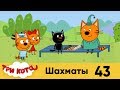 Три кота | Серия 43 | Шахматы