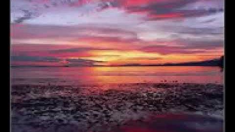 تلاوة هادئة الشيخ ماهر المعيقلي