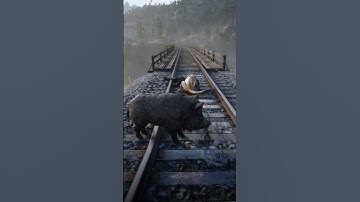 Part 5 Learn great survival skills , #shorts