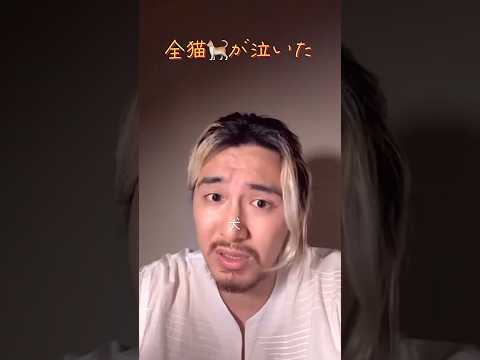 全猫が泣いた風さんのひとこと Feelin Goodな全犬 Feelin Go O D 藤井風