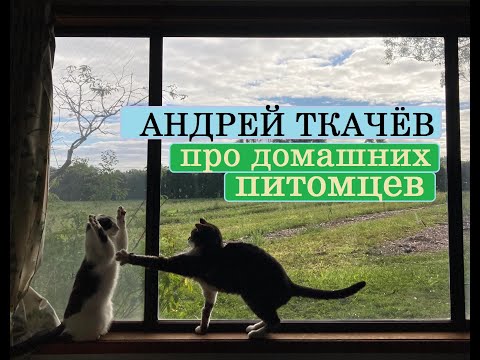 Андрей Ткачёв про домашних питомцев