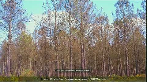 PYCON UK 2017: Keynote: Shaping the World