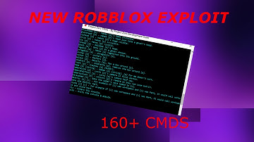 NEW ROBLOX EXPLOIT:PROJECT ZERO 160+ CMDS (PATCHED)